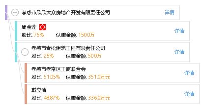 孝感市欣欣大眾房地產(chǎn)開發(fā)有限責(zé)任公司 工商信息、信用狀況與行業(yè)動(dòng)態(tài)全方位解析